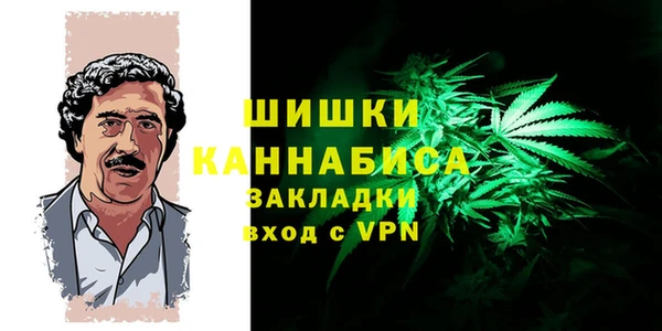 PSILOCYBIN Каменск-Шахтинский