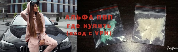 PSILOCYBIN Каменка