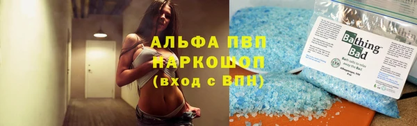 PSILOCYBIN Каменка