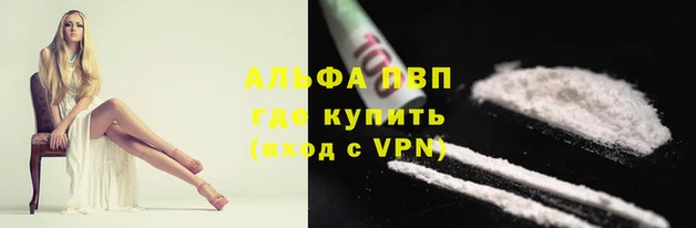 PSILOCYBIN Каменка