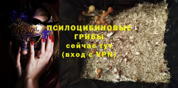 PSILOCYBIN Каменка