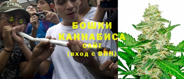 PSILOCYBIN Каменка