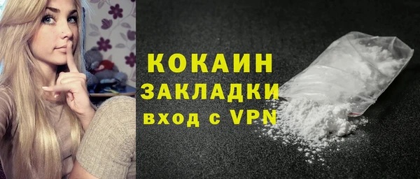 PSILOCYBIN Каменка