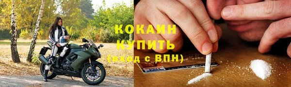 PSILOCYBIN Каменка