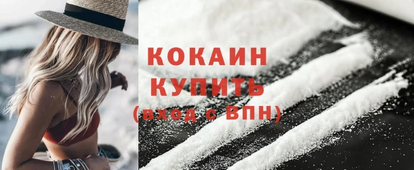 PSILOCYBIN Каменка