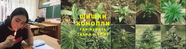 PSILOCYBIN Каменка